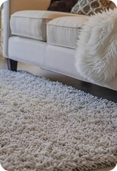 Carpet Cleaning Services near me