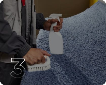 Carpet Cleaning Services