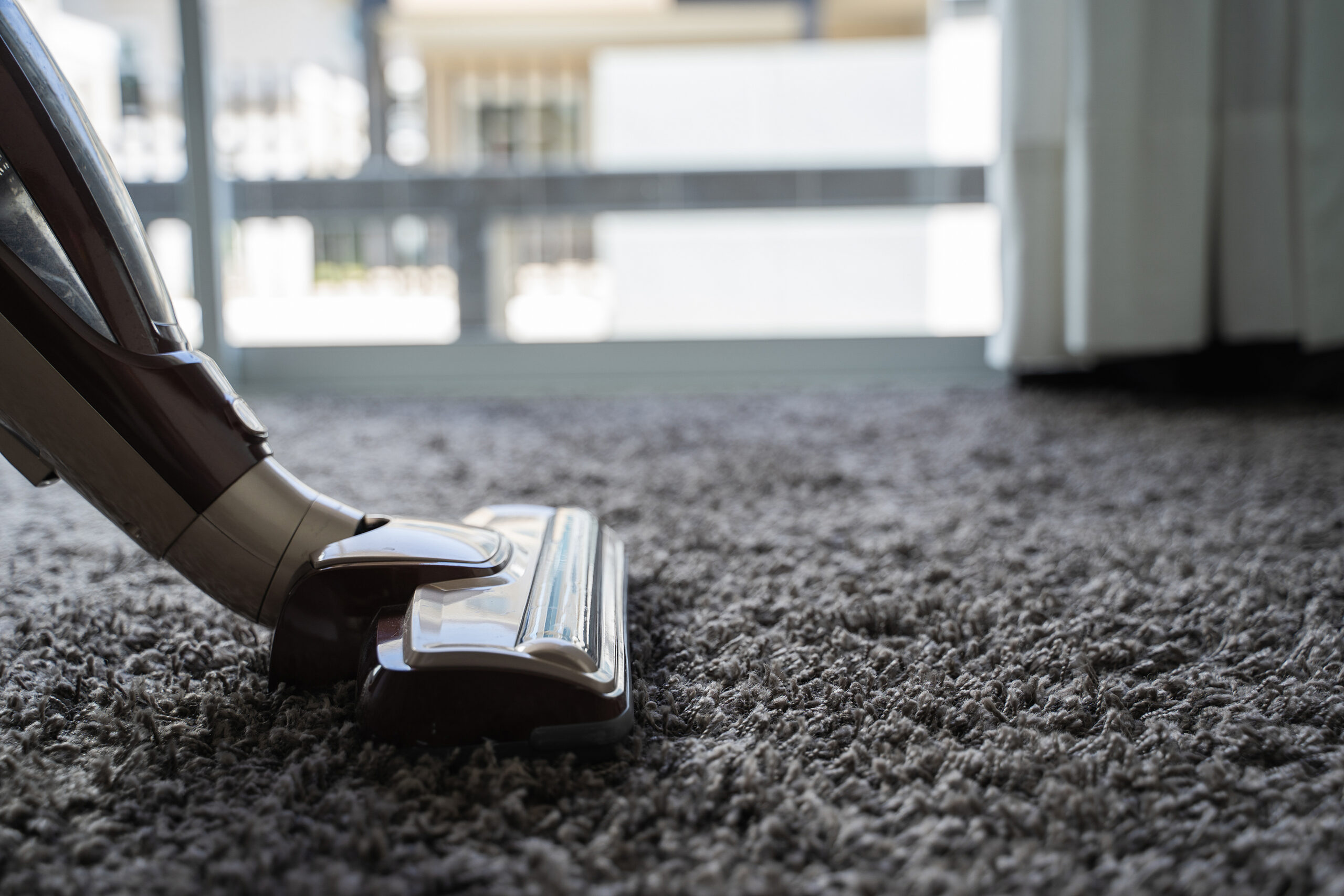 best carpet cleaning service